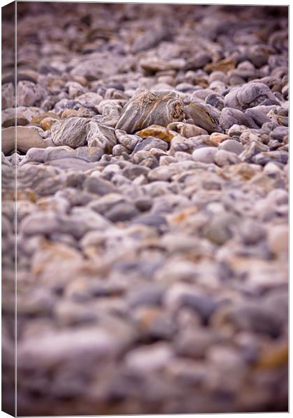 Pebbles on the beach Canvas Print by Ben Gregg-Waller