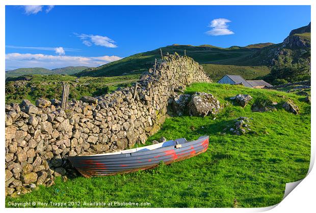 Boat in a field Print by Rory Trappe