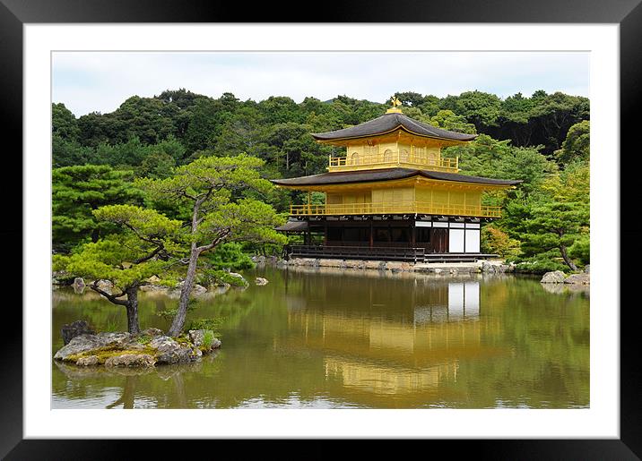 THE GOLDEN PAVILION JAPAN Framed Mounted Print by Trevor Stevens
