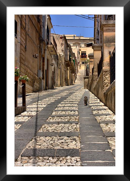 Sicilian alley cat Framed Mounted Print by Lucy Antony