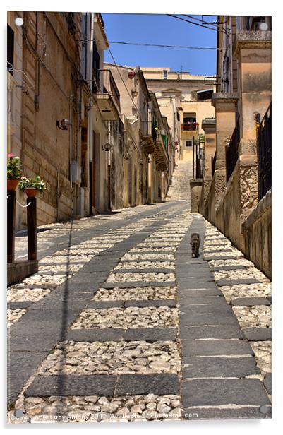 Sicilian alley cat Acrylic by Lucy Antony