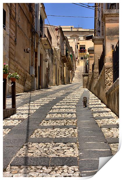 Sicilian alley cat Print by Lucy Antony
