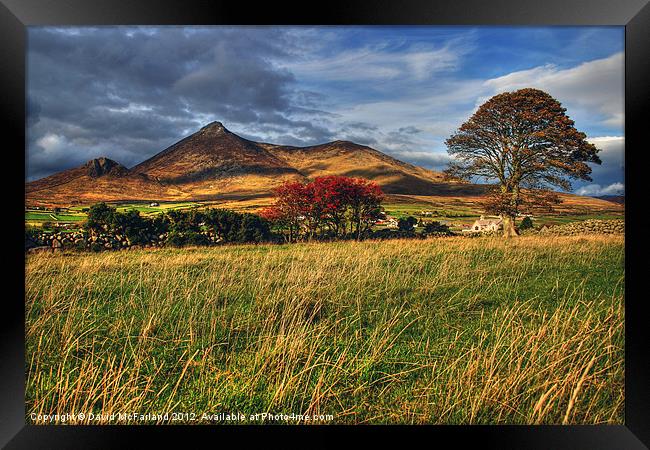 Autumn in the Mournes Framed Print by David McFarland