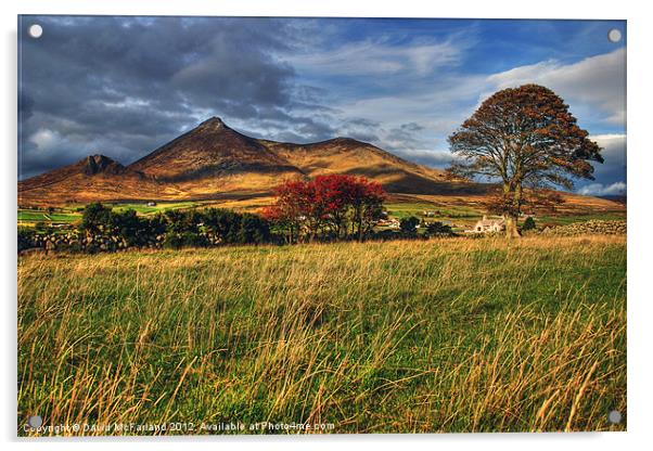 Autumn in the Mournes Acrylic by David McFarland