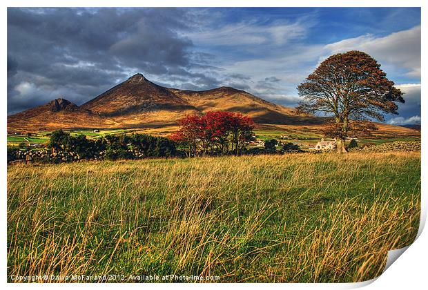 Autumn in the Mournes Print by David McFarland