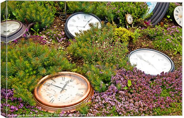 Thyme and Time Canvas Print by Chris Thaxter
