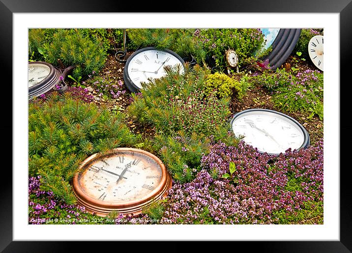 Thyme and Time Framed Mounted Print by Chris Thaxter