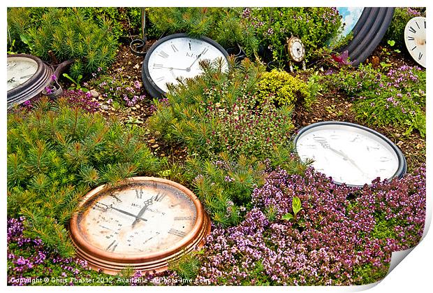 Thyme and Time Print by Chris Thaxter