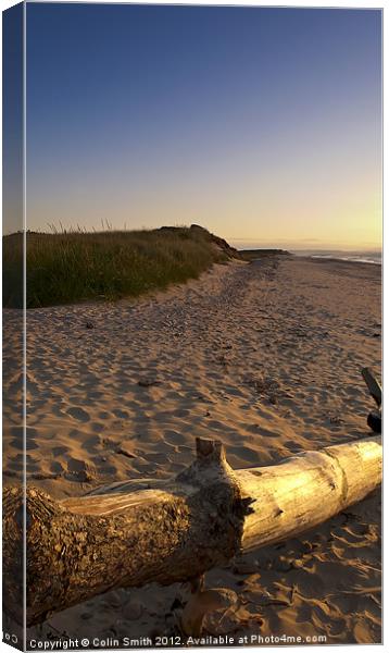 Driftwood Canvas Print by Col Sm