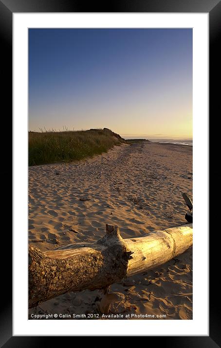 Driftwood Framed Mounted Print by Col Sm