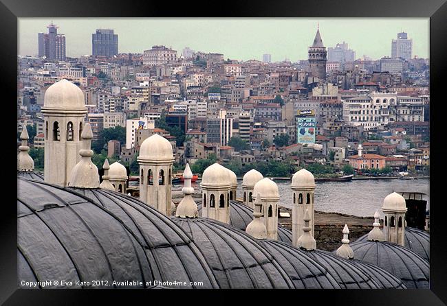 Istanbul Hamam Roofs Framed Print by Eva Kato