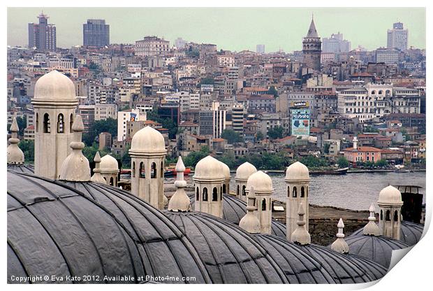 Istanbul Hamam Roofs Print by Eva Kato