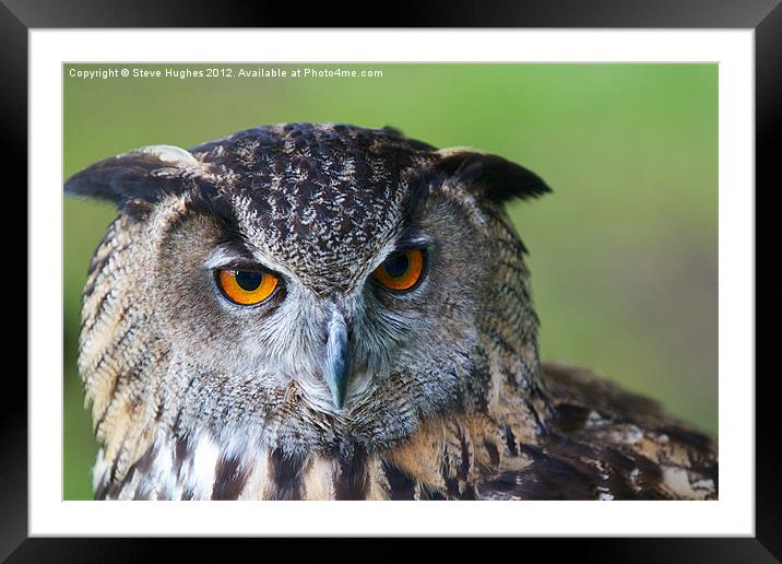 Eagle Owl Framed Mounted Print by Steve Hughes