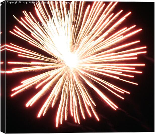 FIREWORK Canvas Print by Larry Stolle
