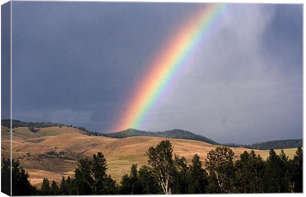 Rainbow in  Montana, Canvas Print by Larry Stolle