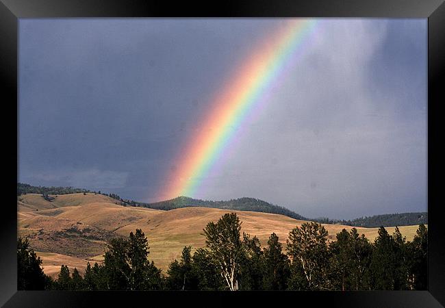 Rainbow in  Montana, Framed Print by Larry Stolle