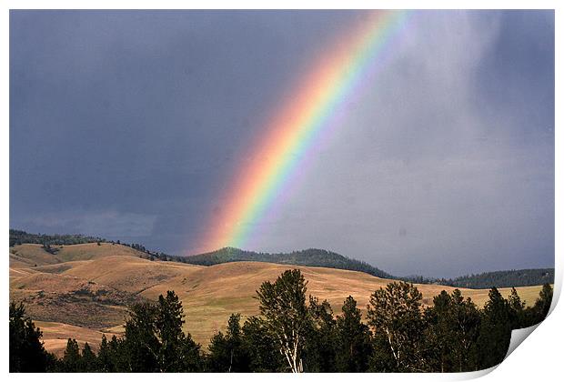 Rainbow in  Montana, Print by Larry Stolle