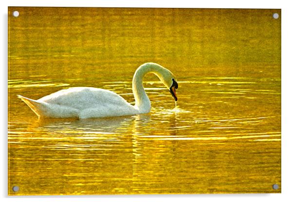 On golden pond. Acrylic by paul cowles