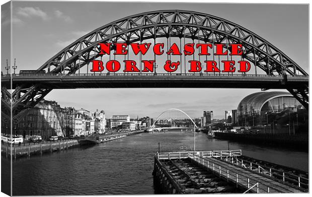 Newcastle Born & Bred Canvas Print by John Ellis