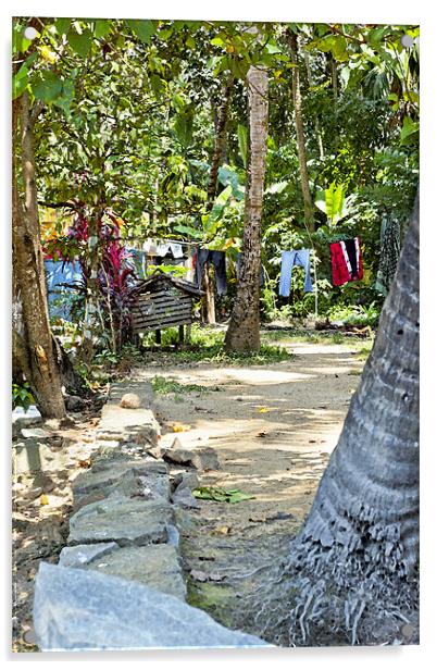 Washing line in Kerala Glades Acrylic by Arfabita  