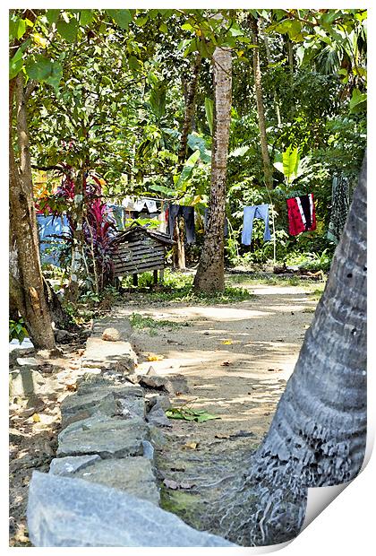 Washing line in Kerala Glades Print by Arfabita  