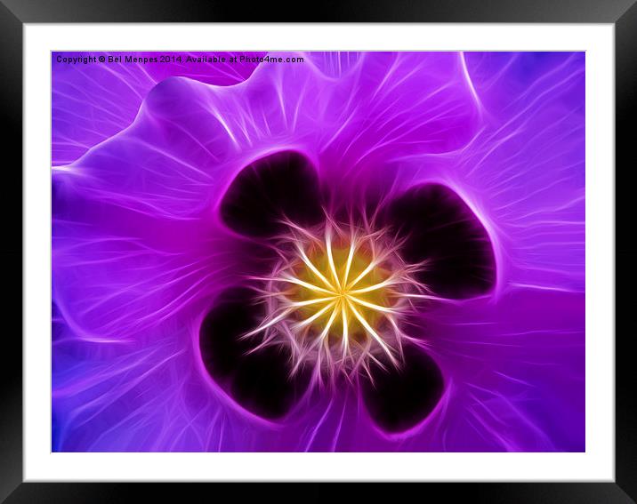 Poppy in Lilac Framed Mounted Print by Bel Menpes