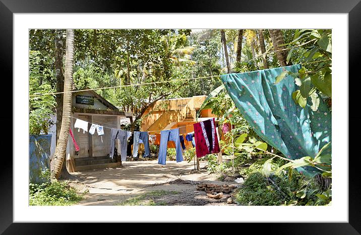 Wash day in the Jungle Framed Mounted Print by Arfabita  