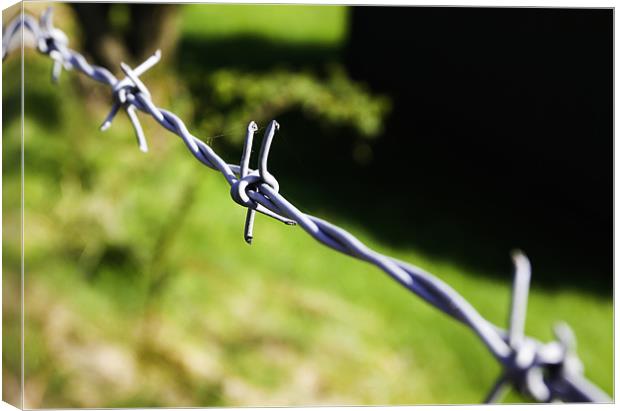 Barbed Wire Canvas Print by Buster Brown