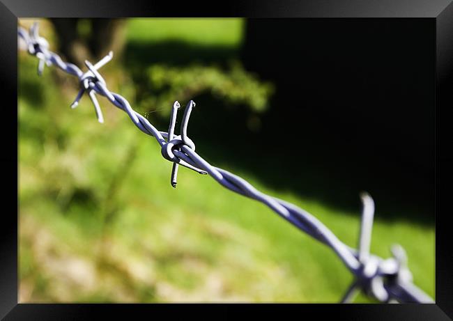 Barbed Wire Framed Print by Buster Brown