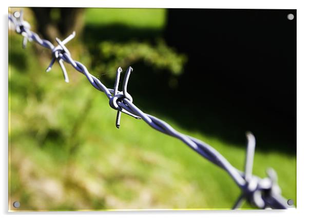 Barbed Wire Acrylic by Buster Brown