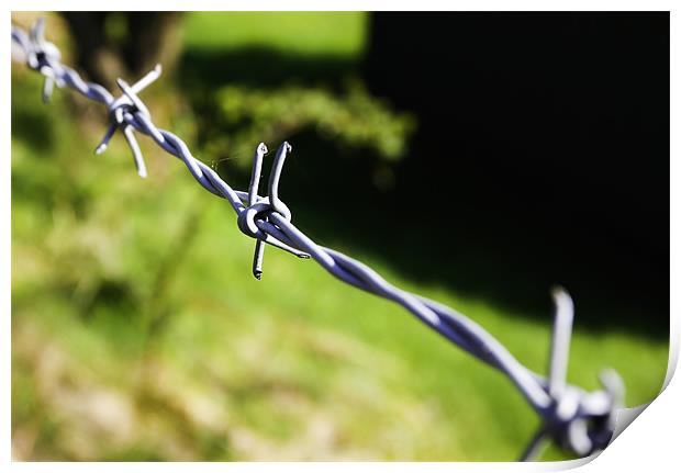 Barbed Wire Print by Buster Brown