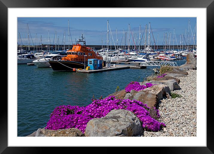 Holyhead Marina and harbour Framed Mounted Print by Gail Johnson