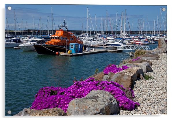 Holyhead Marina and harbour Acrylic by Gail Johnson