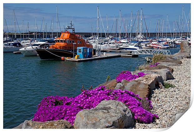 Holyhead Marina and harbour Print by Gail Johnson