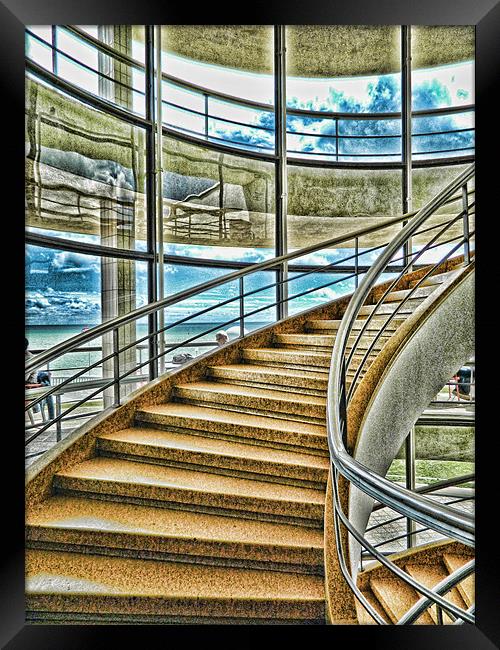 Going Up? Framed Print by Sharon Lisa Clarke