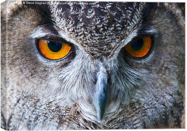 Eagle Owl Eyes Canvas Print by Steve Hughes