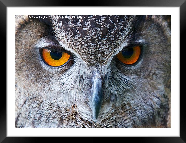 Eagle Owl Eyes Framed Mounted Print by Steve Hughes