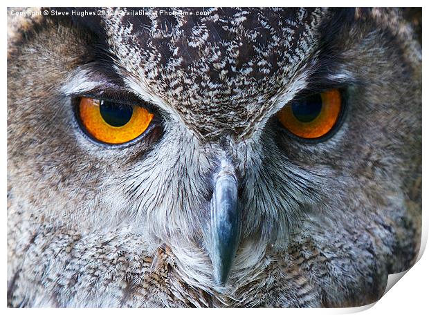 Eagle Owl Eyes Print by Steve Hughes