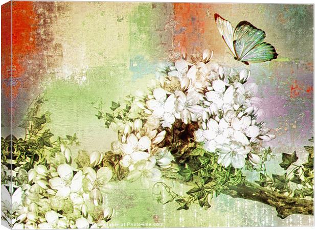 Butterfly Art  Canvas Print by Elaine Manley