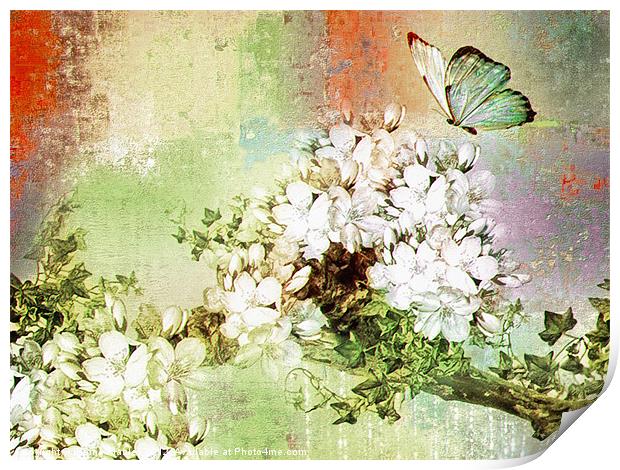 Butterfly Art  Print by Elaine Manley