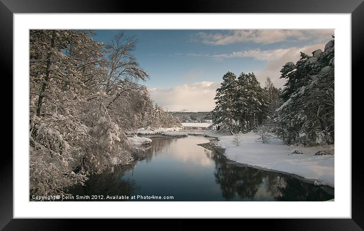 Snowy Trees Framed Mounted Print by Col Sm