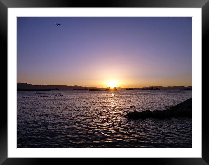Sunset Over The Bay Framed Mounted Print by Fine art by Rina