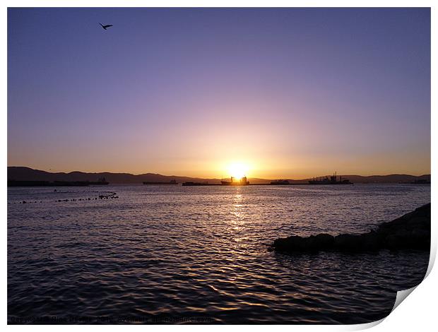 Sunset Over The Bay Print by Fine art by Rina