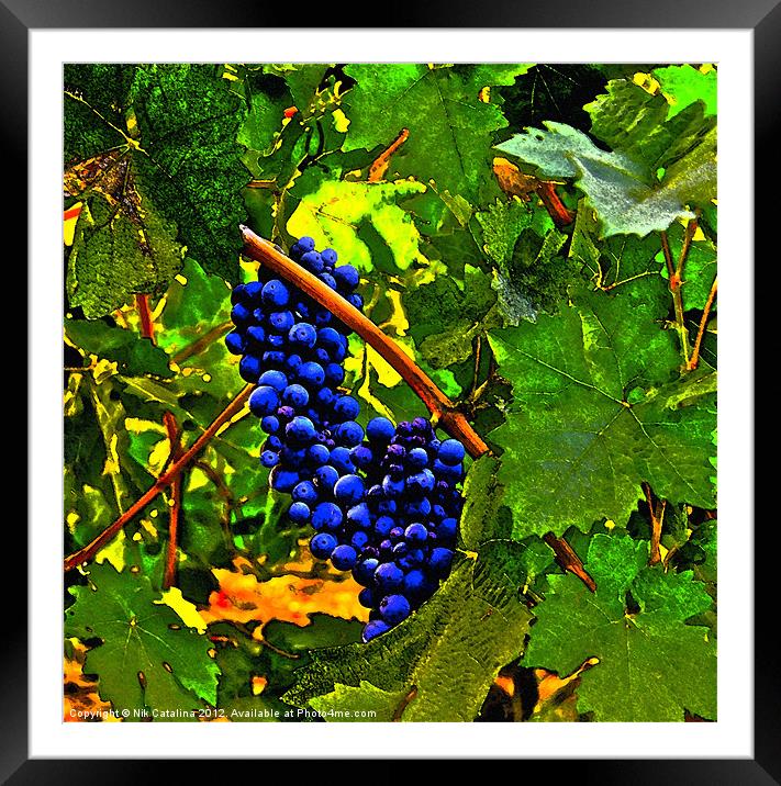 Castle Grapes Framed Mounted Print by Nik Catalina
