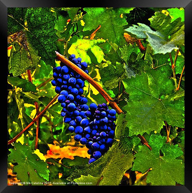 Castle Grapes Framed Print by Nik Catalina