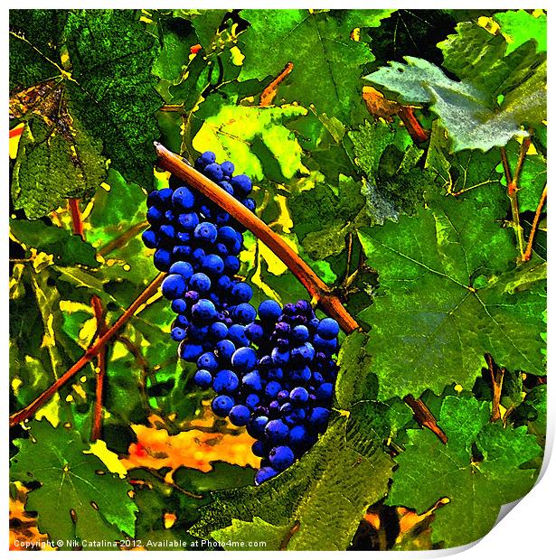 Castle Grapes Print by Nik Catalina
