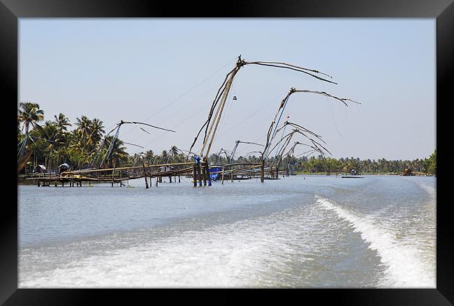 Kerala Backwaters Chinese Fishing Nets Framed Print by Arfabita  