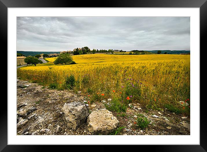 View Over the Golden Fields Framed Mounted Print by Jacqi Elmslie