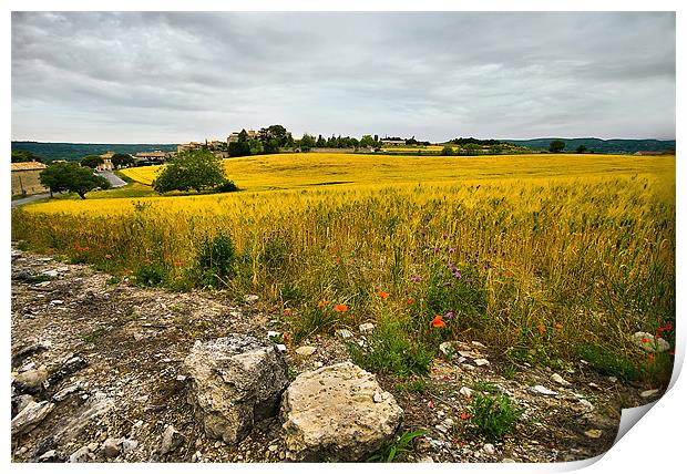 View Over the Golden Fields Print by Jacqi Elmslie