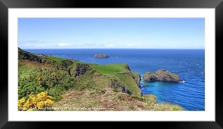 Carrick-a-Rede and Sheep islands Framed Mounted Print by David McFarland